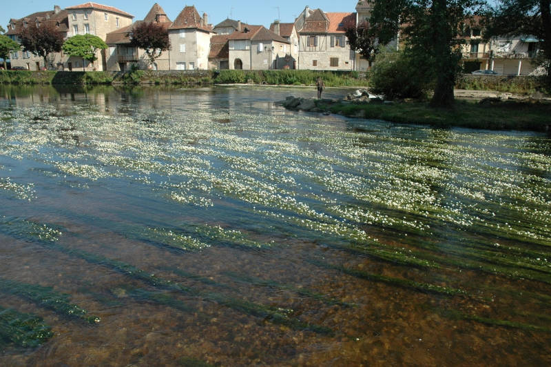 le long de la rivière, La Dordogne.
